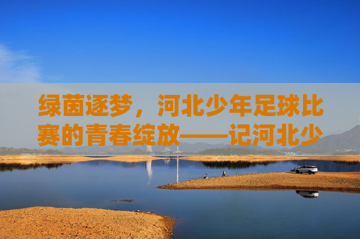 绿茵逐梦,河北少年足球比赛的青春绽放——记河北少年足球比赛精彩瞬间