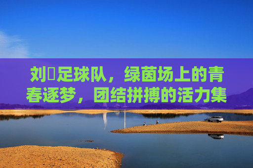 刘劼足球队,绿茵场上的青春逐梦,团结拼搏的活力集结