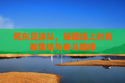 苑东足球队，绿茵场上的青春集结与奋斗旋律