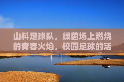 山科足球队,绿茵场上燃烧的青春火焰,校园足球的活力名片