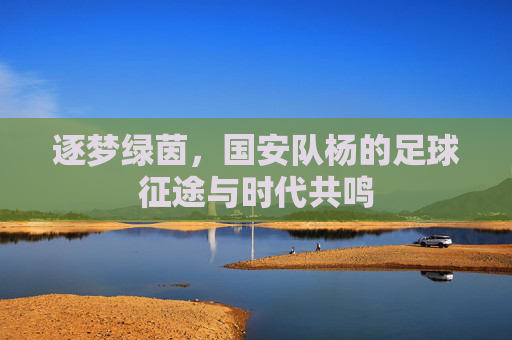 逐梦绿茵,国安队杨的足球征途与时代共鸣