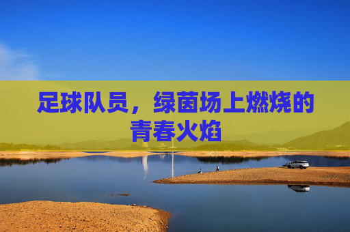 足球队员，绿茵场上燃烧的青春火焰