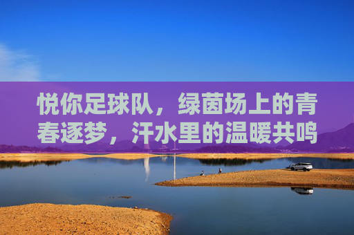 悦你足球队,绿茵场上的青春逐梦,汗水里的温暖共鸣,悦你足球队,绿茵场上的青春逐梦,汗水里的温暖共鸣