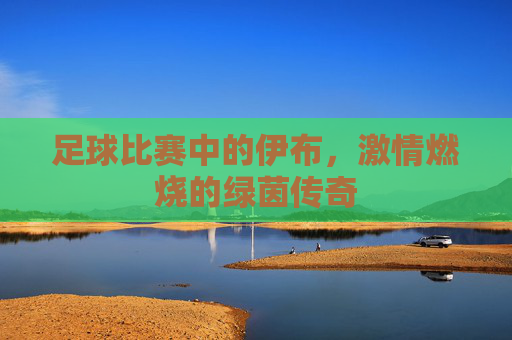 足球比赛中的伊布,激情燃烧的绿茵传奇