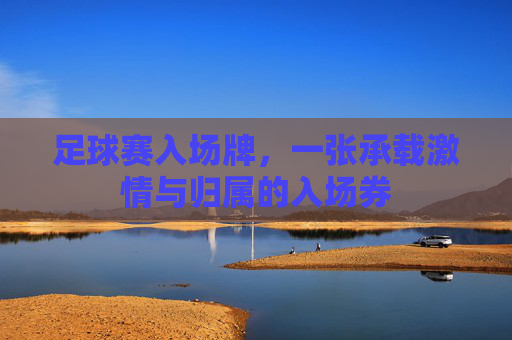 足球赛入场牌,一张承载激情与归属的入场券