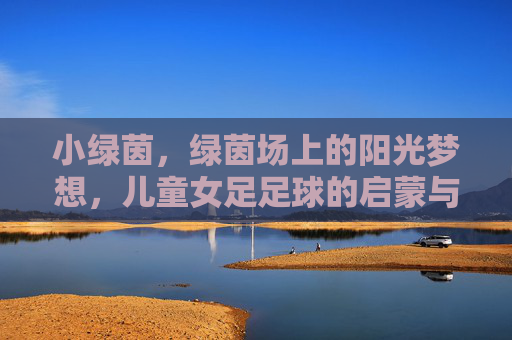 小绿茵,绿茵场上的阳光梦想,儿童女足足球的启蒙与成长之旅