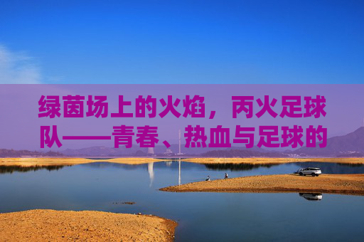 绿茵场上的火焰，丙火足球队——青春、热血与足球的交响