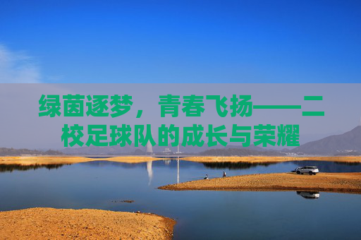 绿茵逐梦,青春飞扬——二校足球队的成长与荣耀