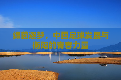 绿茵逐梦，中国足球发展与衡阳的青春力量