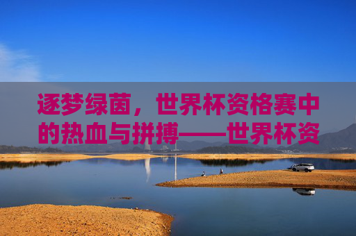 逐梦绿茵，世界杯资格赛中的热血与拼搏——世界杯资格足球的精彩叙事