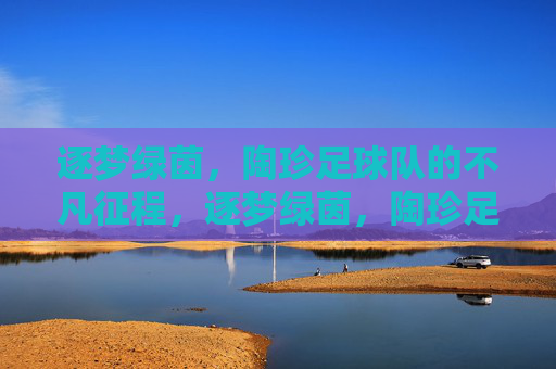 逐梦绿茵,陶珍足球队的不凡征程,逐梦绿茵,陶珍足球队的不凡征程