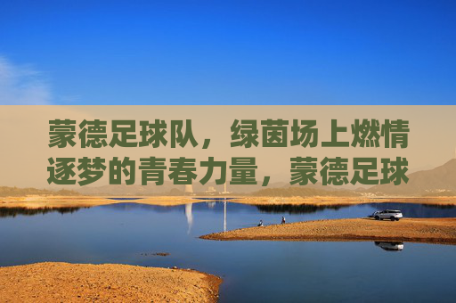 蒙德足球队,绿茵场上燃情逐梦的青春力量,蒙德足球队,绿茵场上燃情逐梦的青春力量
