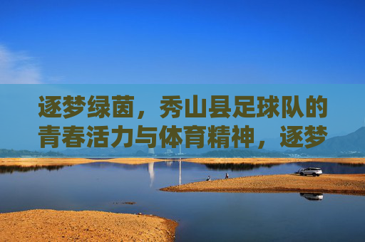 逐梦绿茵，秀山县足球队的青春活力与体育精神，逐梦绿茵，秀山县足球队的青春活力与体育精神