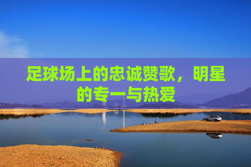 足球场上的忠诚赞歌,明星的专一与热爱