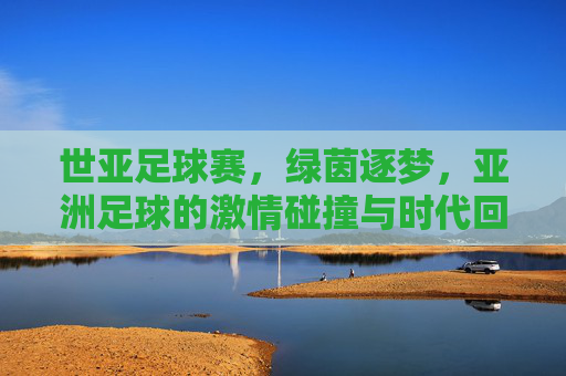 世亚足球赛,绿茵逐梦,亚洲足球的激情碰撞与时代回响,世亚足球赛,绿茵逐梦,亚洲足球的激情碰撞与时代回响