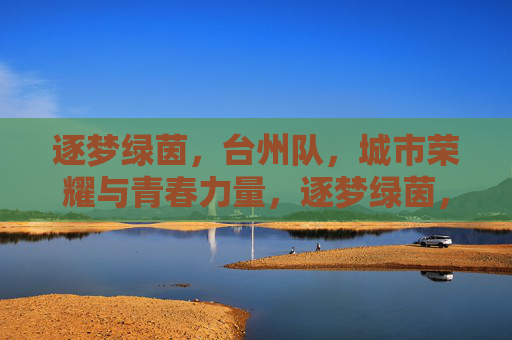 逐梦绿茵，台州队，城市荣耀与青春力量，逐梦绿茵，台州队，城市荣耀与青春力量