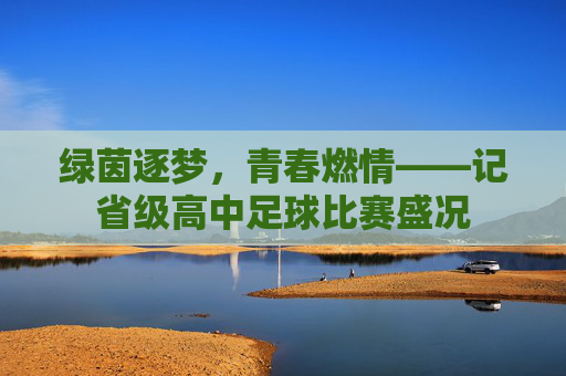 绿茵逐梦，青春燃情——记省级高中足球比赛盛况