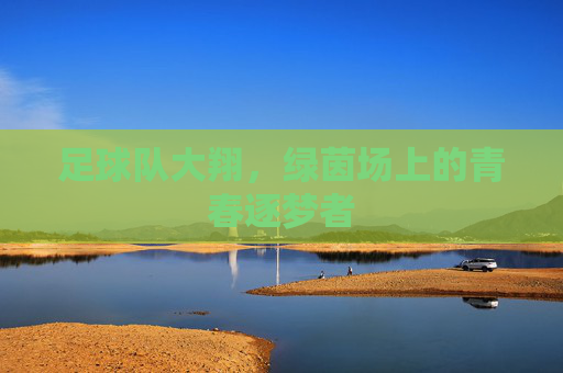 足球队大翔,绿茵场上的青春逐梦者
