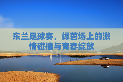 东兰足球赛,绿茵场上的激情碰撞与青春绽放