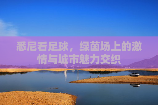 悉尼看足球，绿茵场上的激情与城市魅力交织