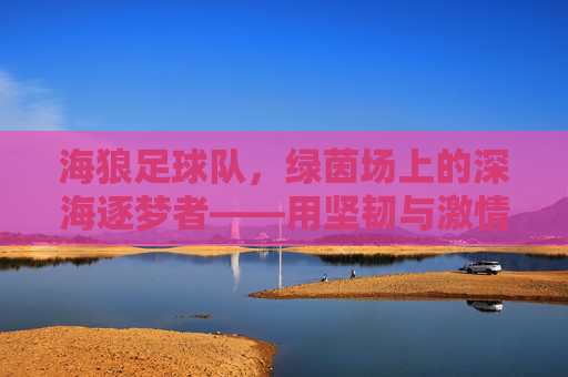 海狼足球队,绿茵场上的深海逐梦者——用坚韧与激情书写属于他们的足球传奇