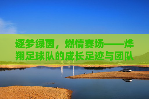 逐梦绿茵,燃情赛场——烨翔足球队的成长足迹与团队精神
