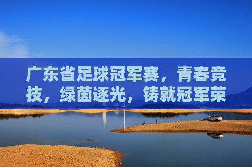 广东省足球冠军赛,青春竞技,绿茵逐光,铸就冠军荣光
