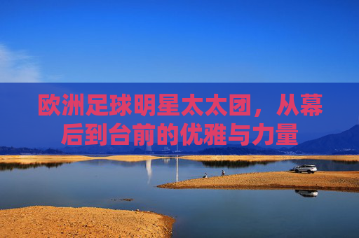 欧洲足球明星太太团,从幕后到台前的优雅与力量