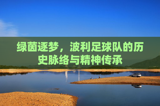 绿茵逐梦,波利足球队的历史脉络与精神传承