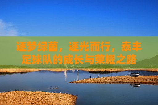 逐梦绿茵,逐光而行,泰丰足球队的成长与荣耀之路