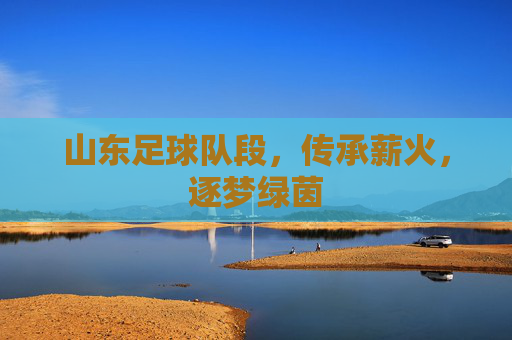 山东足球队段,传承薪火,逐梦绿茵