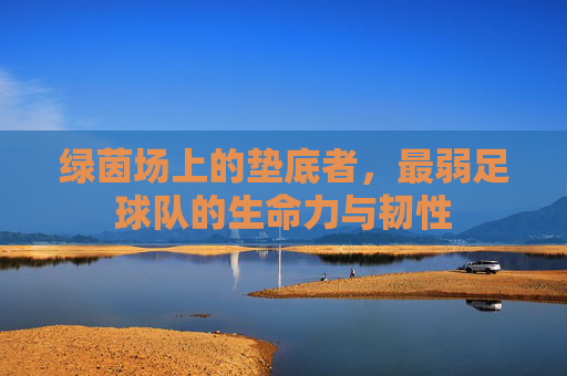 绿茵场上的垫底者,最弱足球队的生命力与韧性