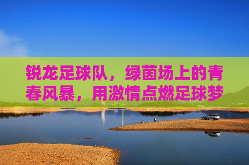 锐龙足球队，绿茵场上的青春风暴，用激情点燃足球梦想