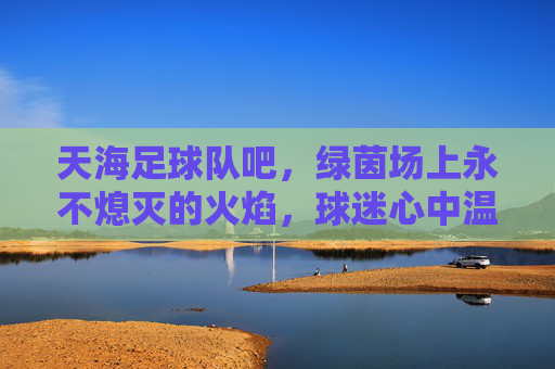 天海足球队吧,绿茵场上永不熄灭的火焰,球迷心中温暖的港湾