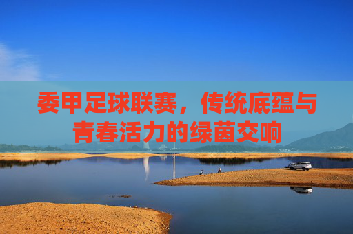 委甲足球联赛,传统底蕴与青春活力的绿茵交响