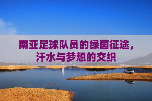 南亚足球队员的绿茵征途,汗水与梦想的交织