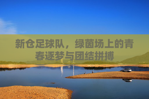 新仓足球队，绿茵场上的青春逐梦与团结拼搏