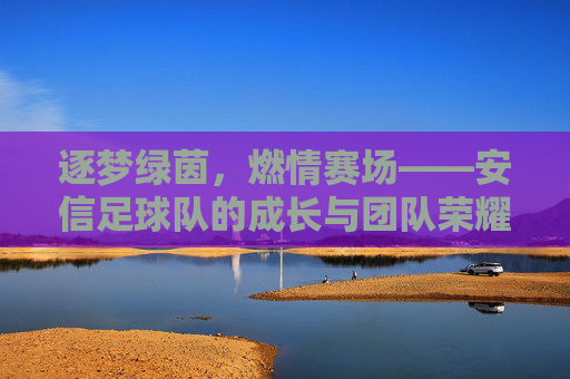 逐梦绿茵,燃情赛场——安信足球队的成长与团队荣耀