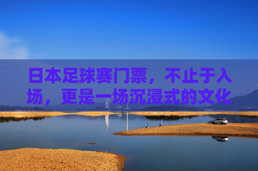 日本足球赛门票，不止于入场，更是一场沉浸式的文化体验，日本足球赛门票，不止入场，更是一场沉浸式文化体验