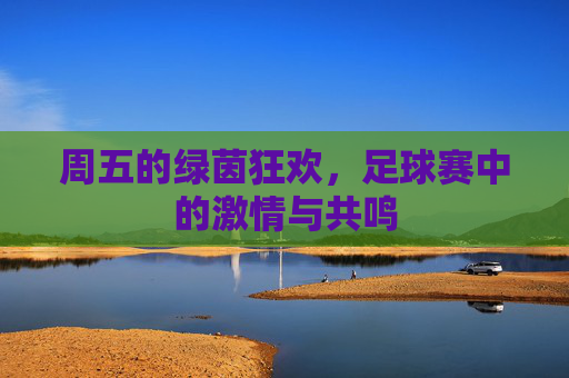 周五的绿茵狂欢,足球赛中的激情与共鸣