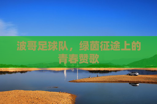 波哥足球队,绿茵征途上的青春赞歌