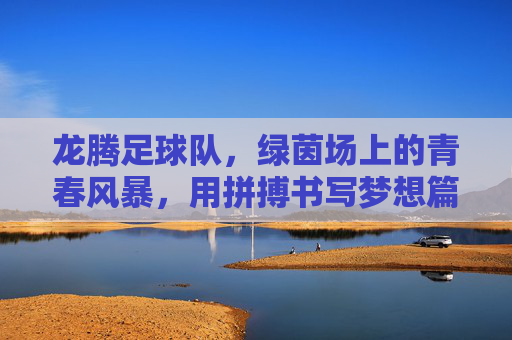 龙腾足球队,绿茵场上的青春风暴,用拼搏书写梦想篇章,龙腾足球队,绿茵场上的青春风暴,用拼搏书写梦想篇章