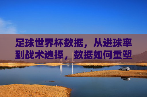 足球世界杯数据,从进球率到战术选择,数据如何重塑赛场格局,足球世界杯数据,从进球率到战术选择,如何重塑赛场格局