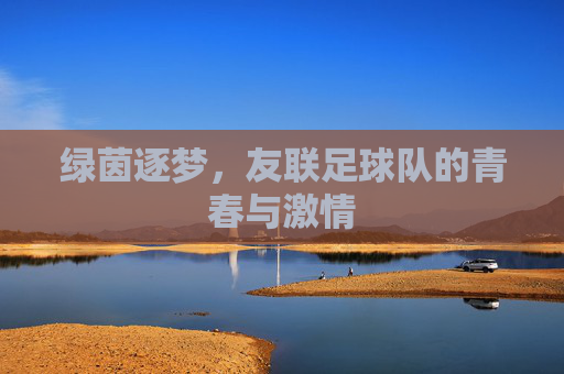 绿茵逐梦，友联足球队的青春与激情