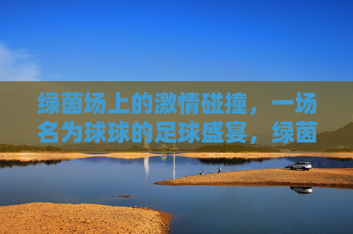 绿茵场上的激情碰撞,一场名为球球的足球盛宴,绿茵场激情碰撞,一场名为球球的足球盛宴