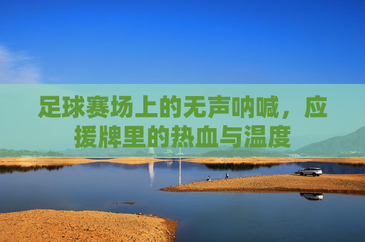 足球赛场上的无声呐喊,应援牌里的热血与温度