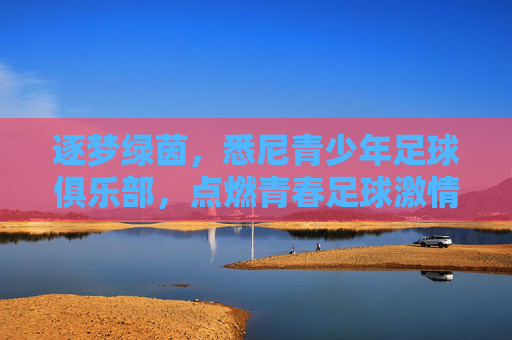 逐梦绿茵,悉尼青少年足球俱乐部,点燃青春足球激情的摇篮