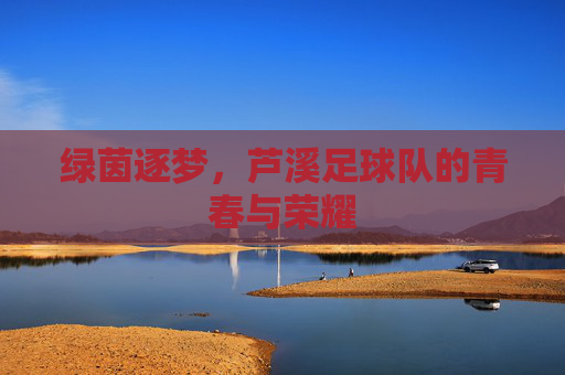 绿茵逐梦,芦溪足球队的青春与荣耀