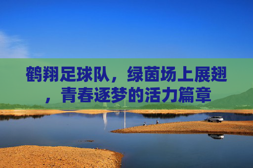 鹤翔足球队,绿茵场上展翅,青春逐梦的活力篇章