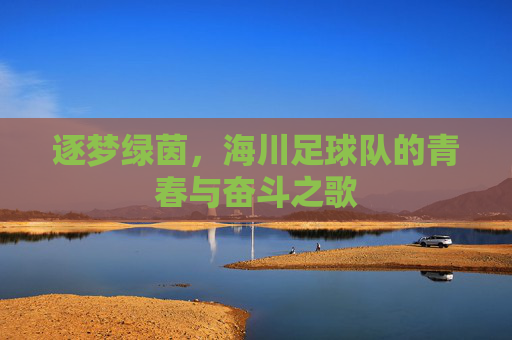 逐梦绿茵，海川足球队的青春与奋斗之歌